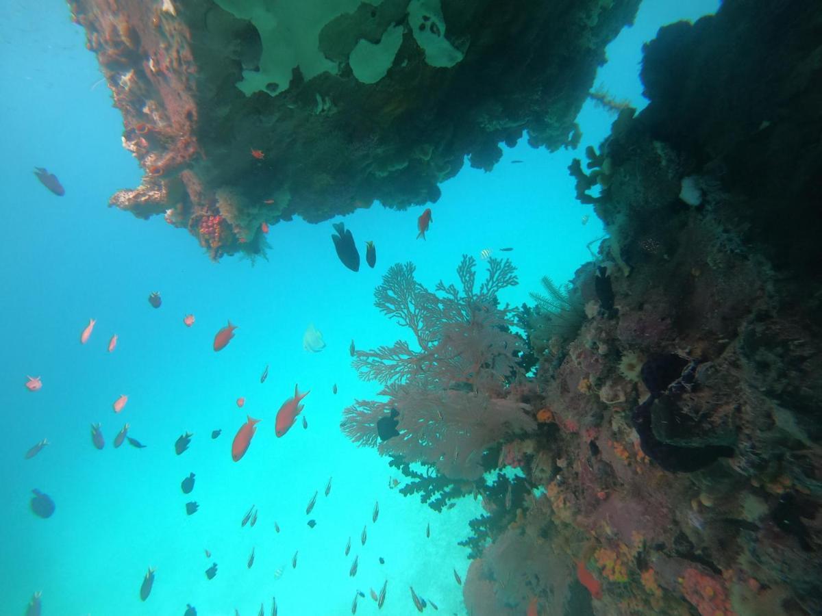 Meos Ambower Homestay Raja Ampat Fam Zewnętrze zdjęcie