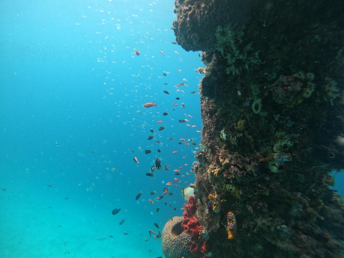 Meos Ambower Homestay Raja Ampat Fam Zewnętrze zdjęcie