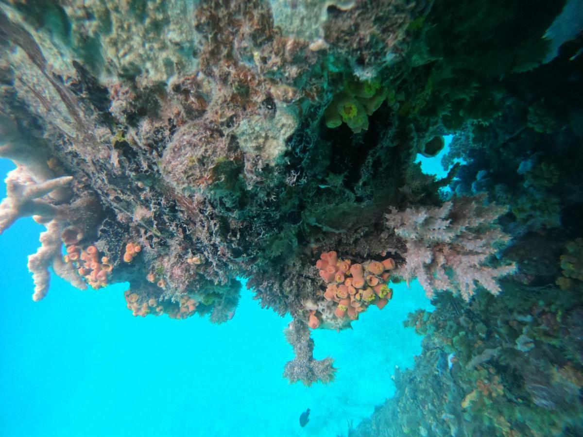 Meos Ambower Homestay Raja Ampat Fam Zewnętrze zdjęcie