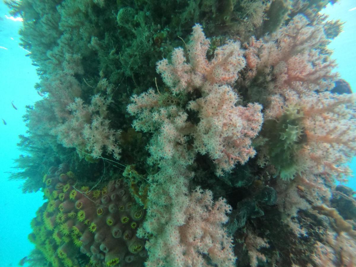 Meos Ambower Homestay Raja Ampat Fam Zewnętrze zdjęcie