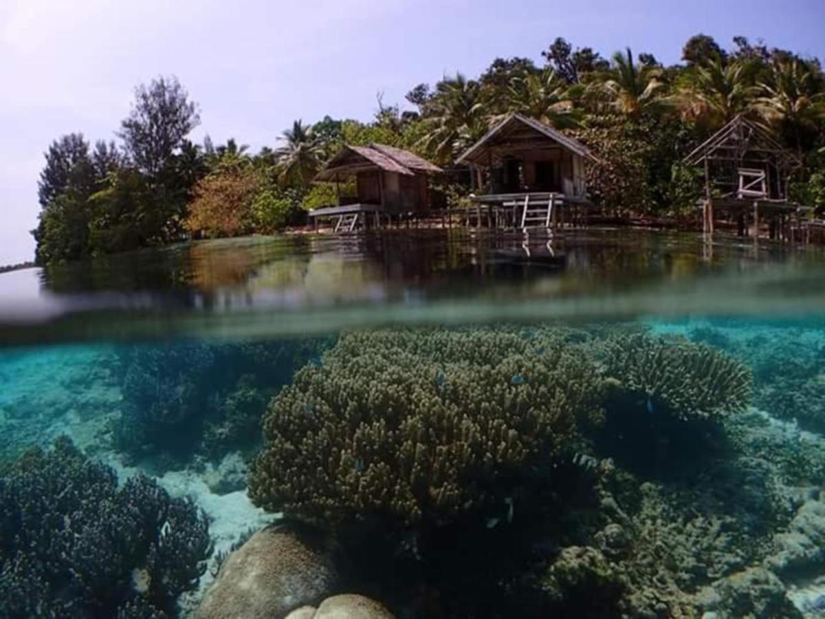 Meos Ambower Homestay Raja Ampat Fam Zewnętrze zdjęcie