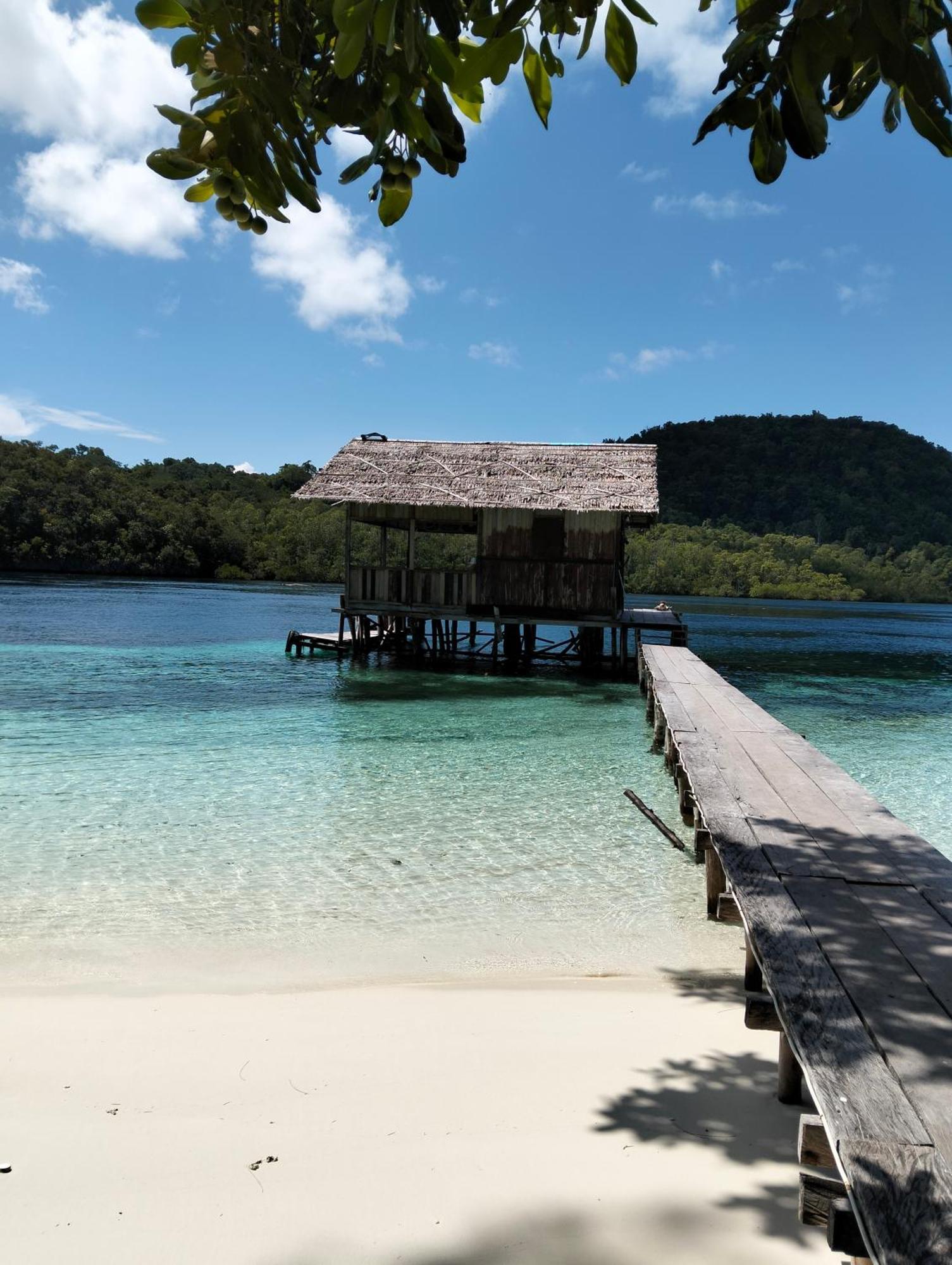 Meos Ambower Homestay Raja Ampat Fam Zewnętrze zdjęcie