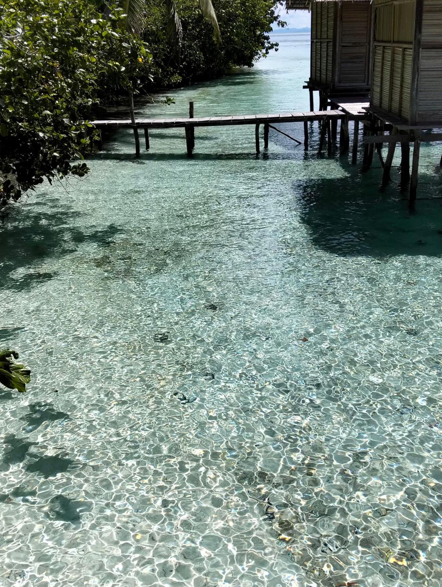 Meos Ambower Homestay Raja Ampat Fam Zewnętrze zdjęcie