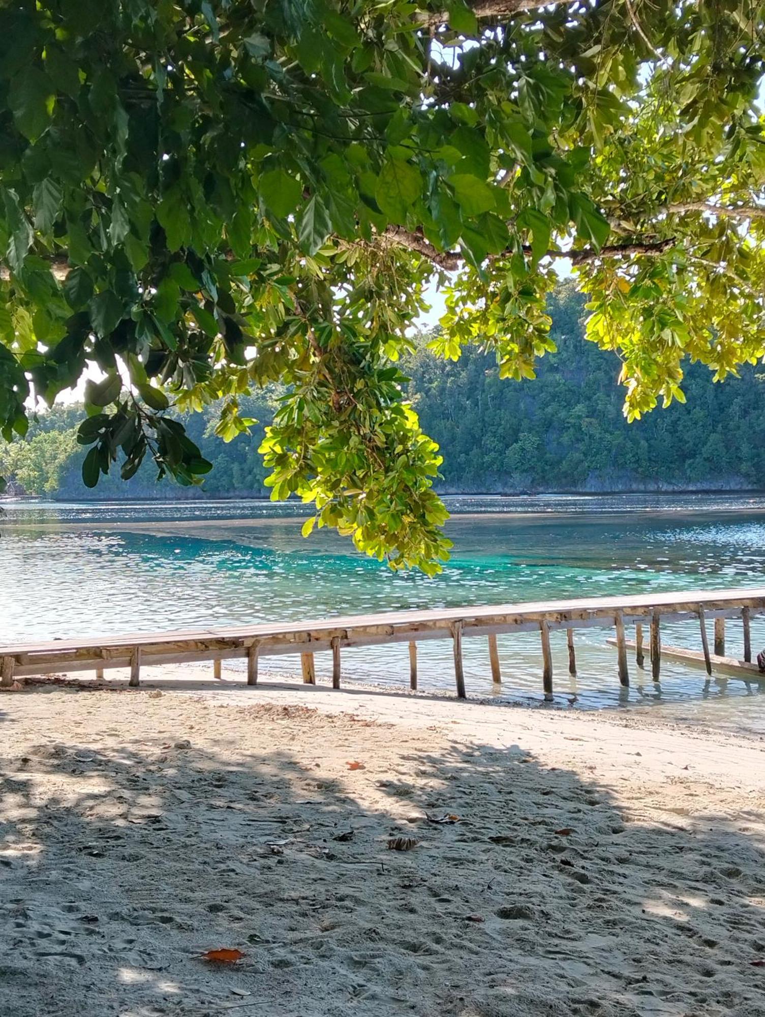 Meos Ambower Homestay Raja Ampat Fam Zewnętrze zdjęcie