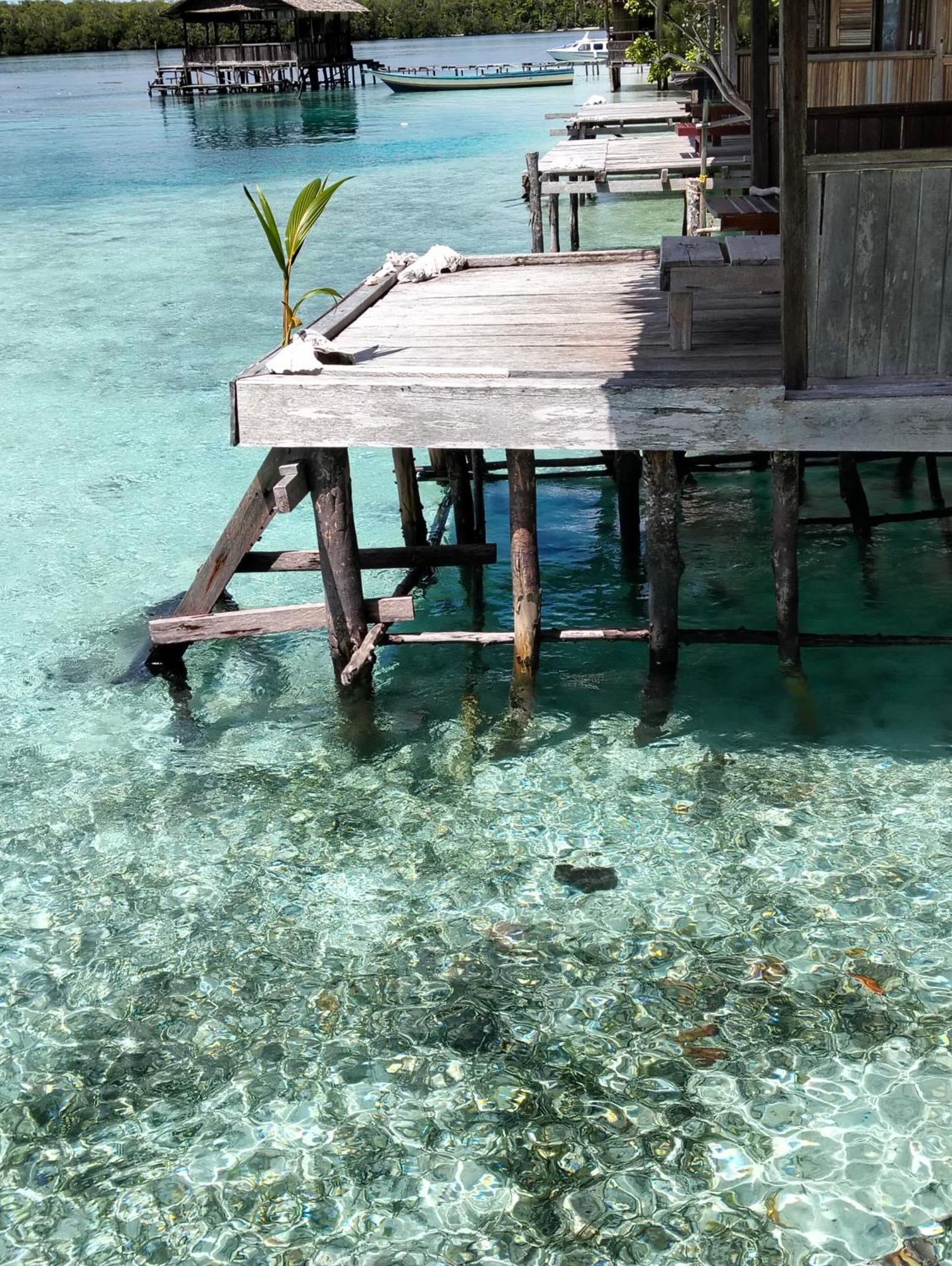 Meos Ambower Homestay Raja Ampat Fam Zewnętrze zdjęcie