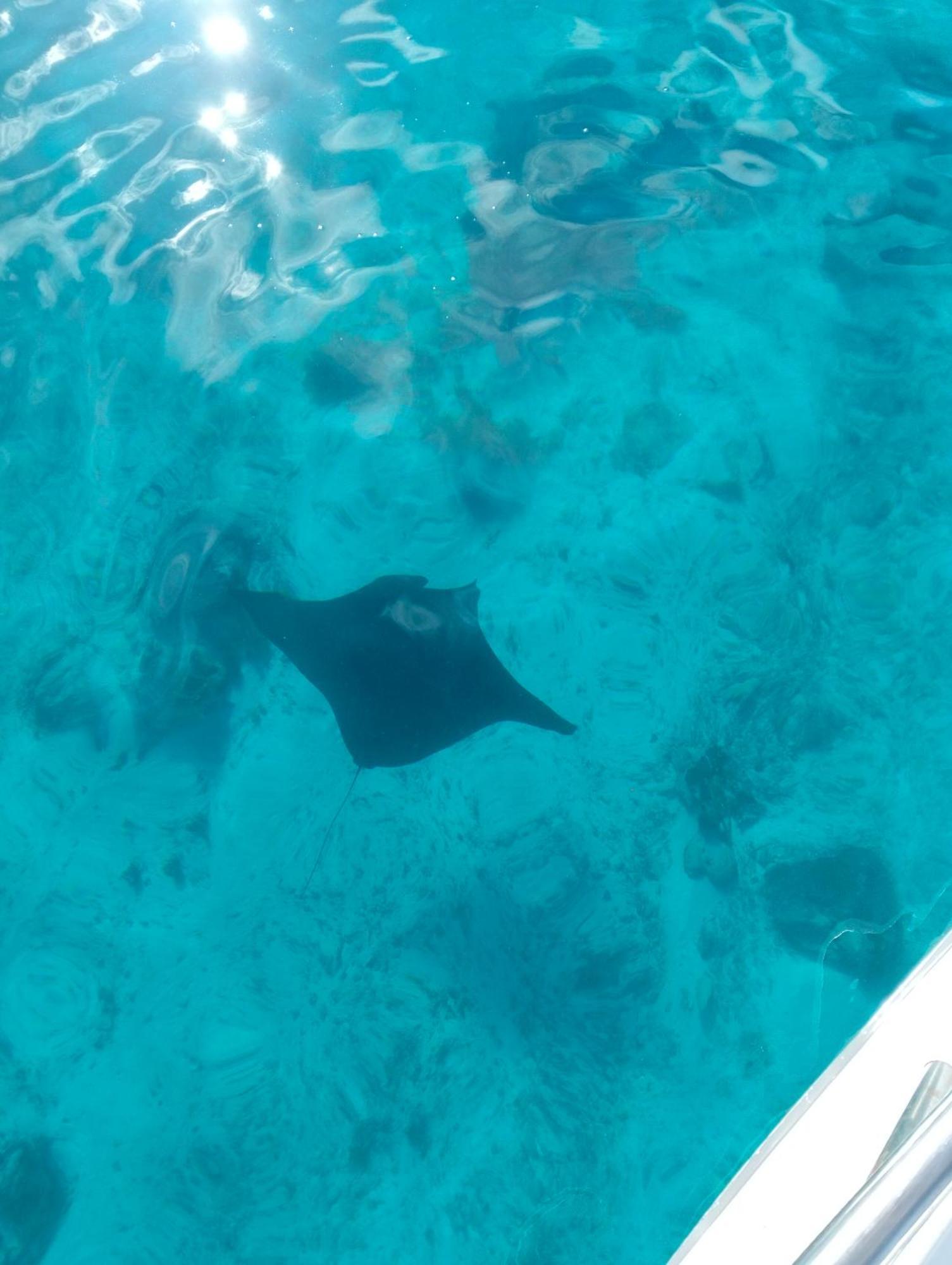 Meos Ambower Homestay Raja Ampat Fam Zewnętrze zdjęcie